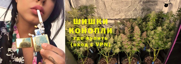 индика Волосово