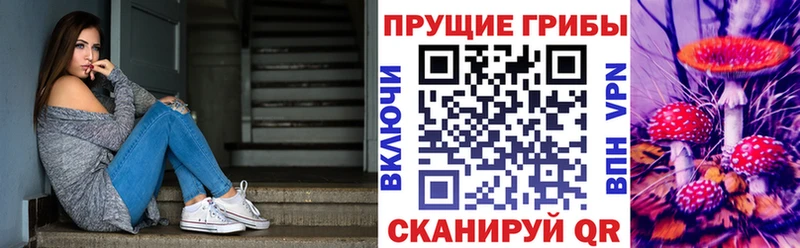 где можно купить   Вилючинск  Галлюциногенные грибы мицелий 